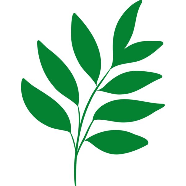 17 Leaves Thumbnail